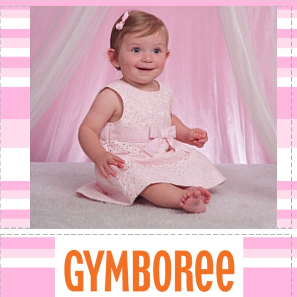 Pink Eyelet Dress Gymboree. Size 6-12 months